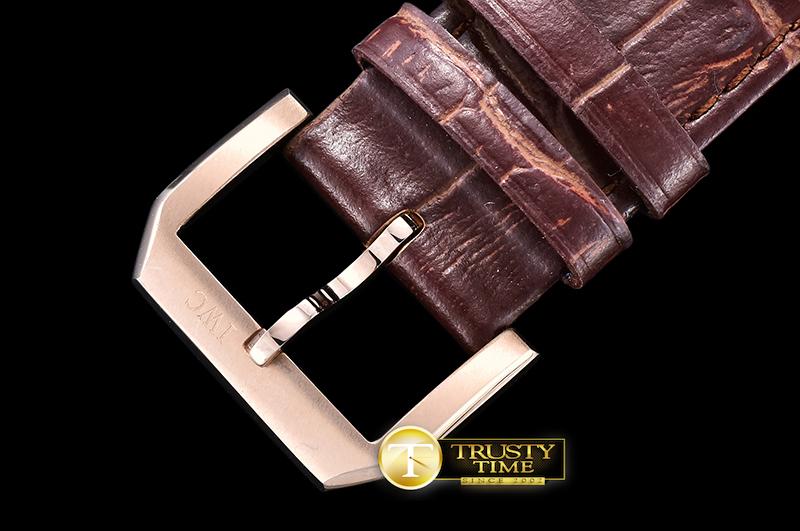 IWC0356F - Ingenieur - Image 9