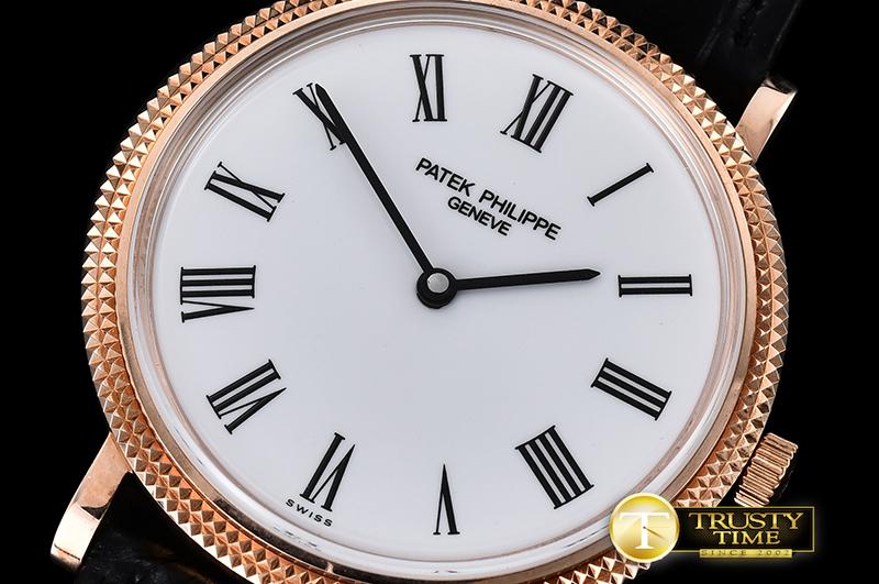 PP0256 - Calatrava - immagine 4
