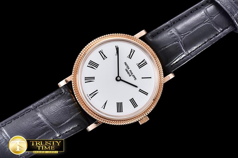 PP0256 - Calatrava - immagine 2