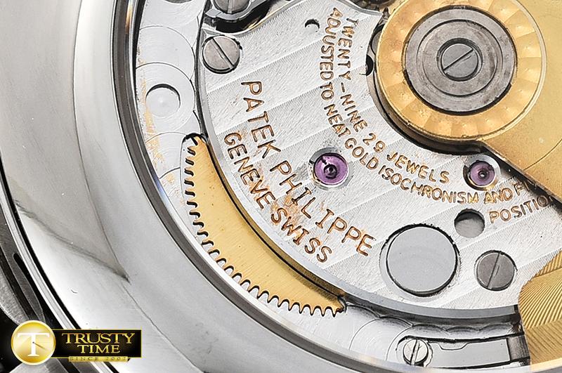 PP0263C - Complication - Imagen 12
