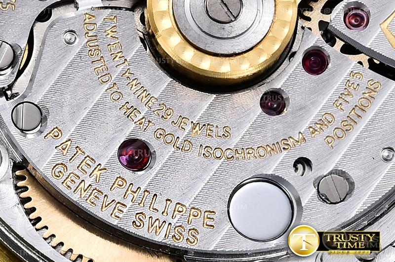 PP0334C - Nautilus - immagine 17