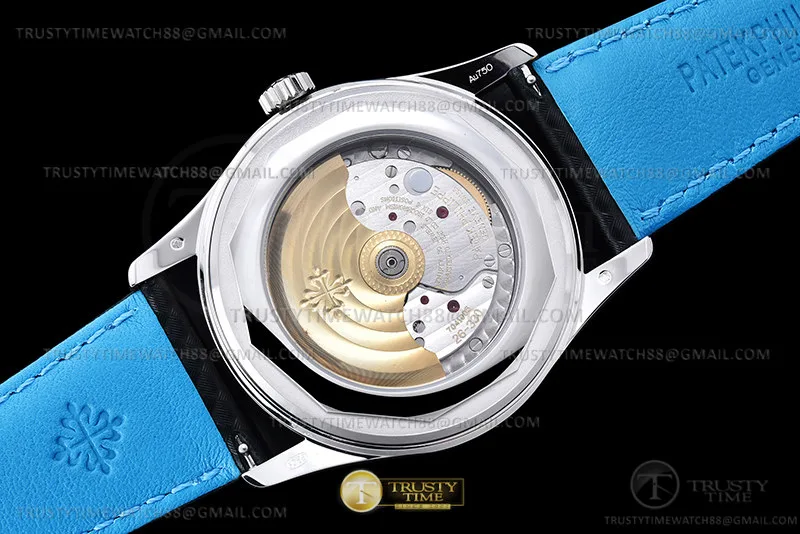 PP0496C - Calatrava 6007A SS/LE Blk/Blue PPF MY9015 Mod
