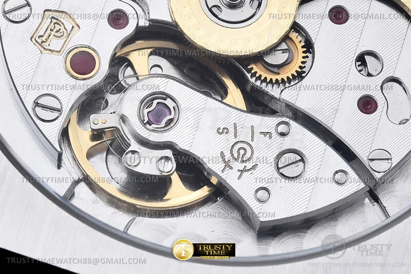 PP0521 - Cubitus 5821 RG/SS Blue/Stk PPF A330