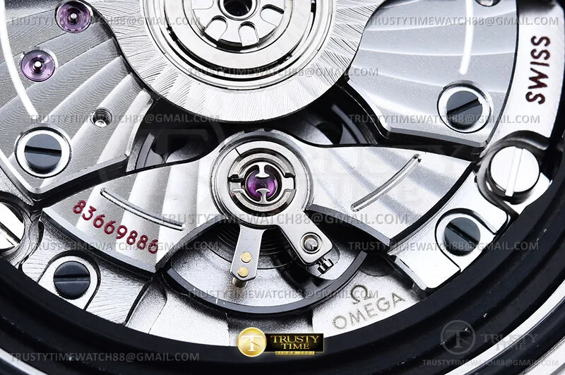 OMG0919 - Seamaster Railmaster SS/SS Grey VSF VS8806